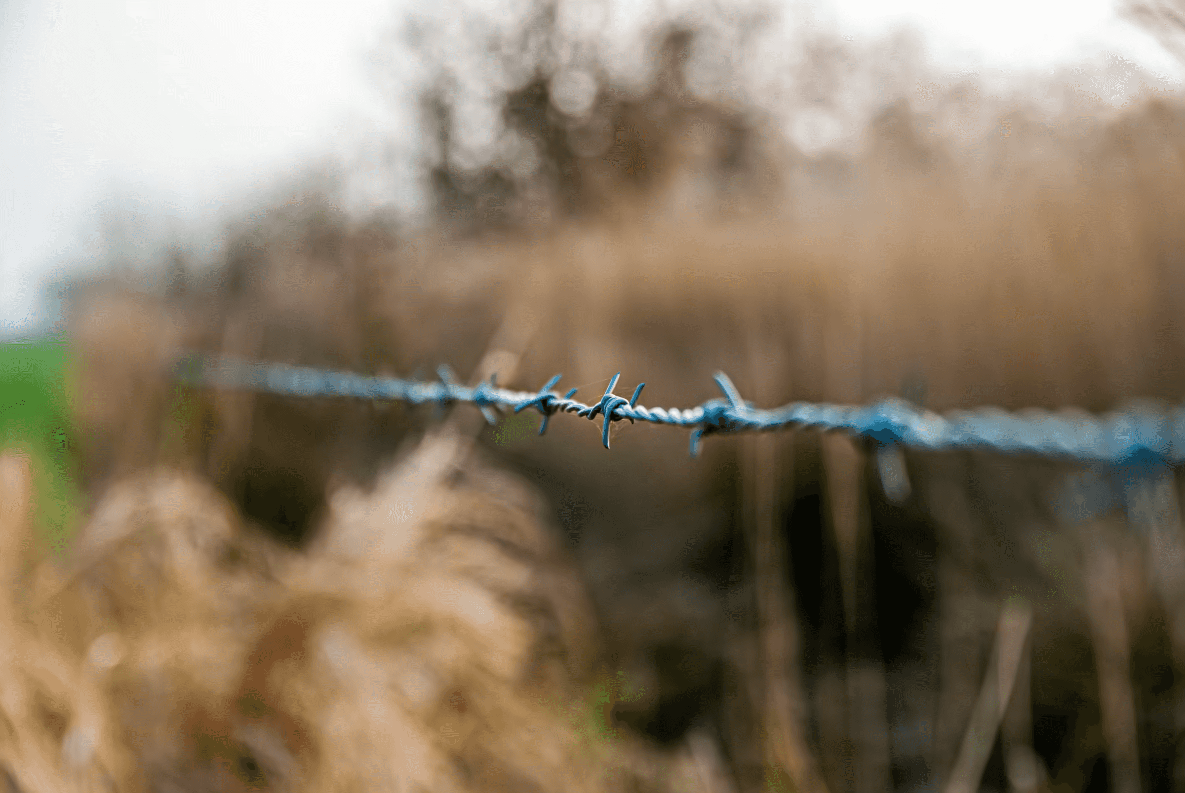 A close-up abstract photograph emphasizing the textures of weathered barbed wire juxtaposed against blurred autumnal foliage in soft focus.