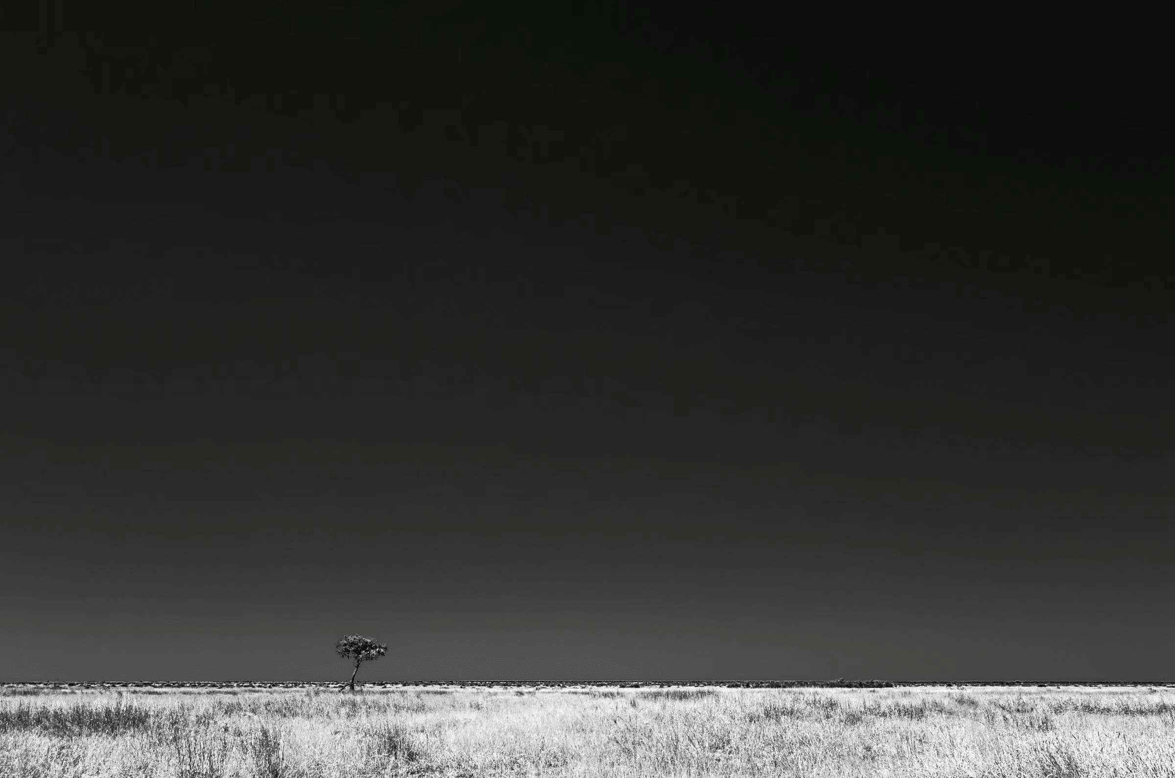 A minimalist black and white landscape photograph featuring a solitary tree standing on the vast, open plains of the Savuti region in Botswana, Africa. The tree, sparsely leaved, is silhouetted against a dark, expansive sky that dominates the upper portion of the frame. The savanna grasslands stretch out to the horizon, their textures subtly rendered in monochrome. The image conveys a sense of isolation, stark beauty, and the immense scale of the African wilderness.