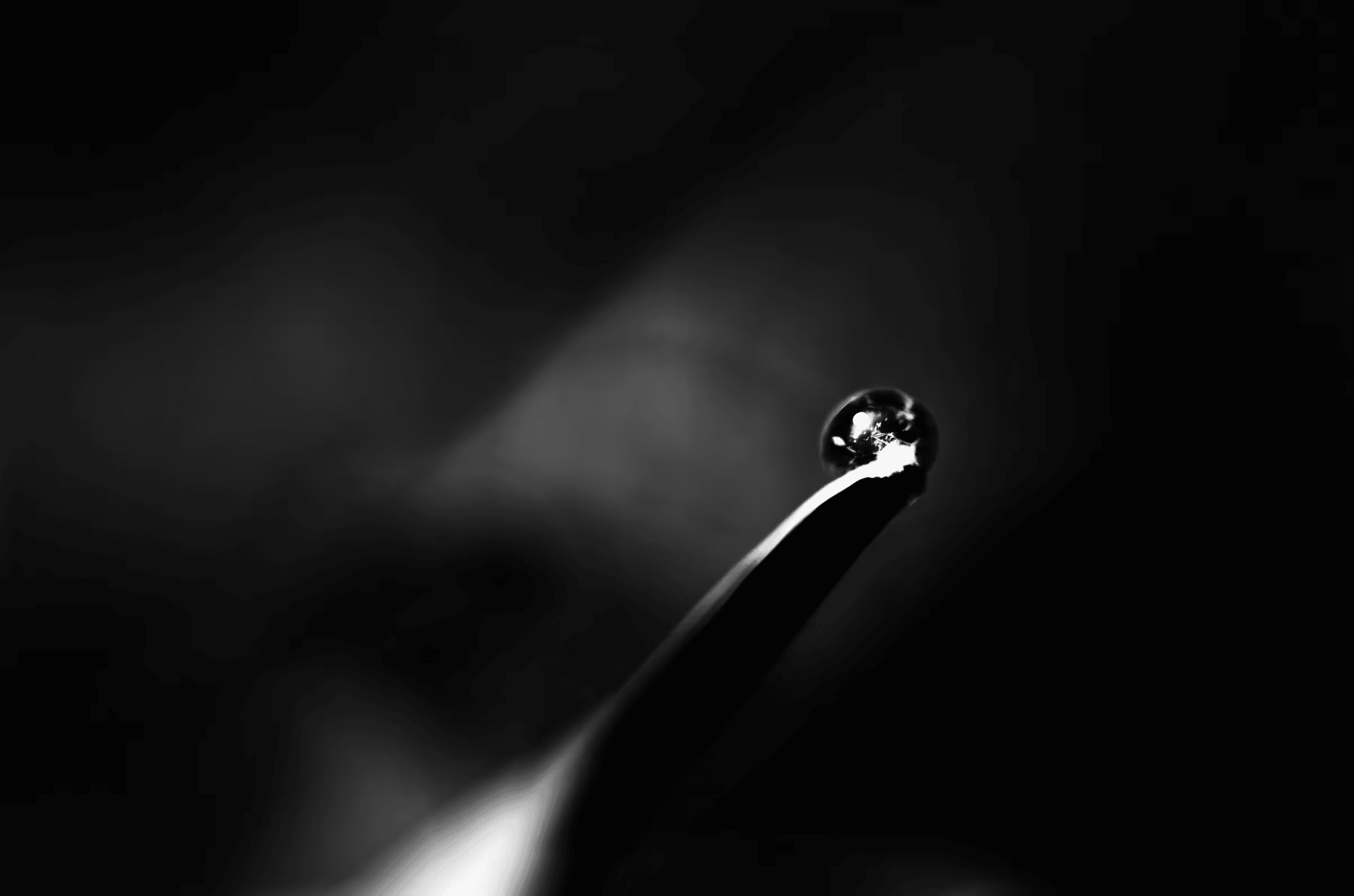 A minimalist black and white macro photograph of a single water droplet, appearing like a pearl, poised delicately on the tip of a curved leaf. The image emphasizes the droplet's perfectly spherical form, the texture of the leaf's edge, and the subtle play of light and shadow.