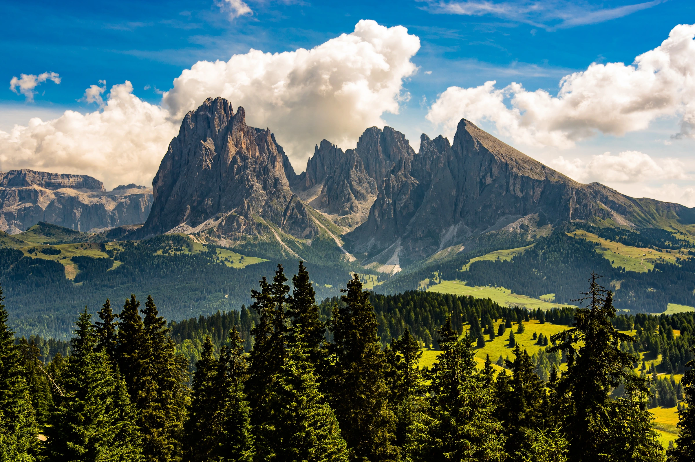 Color photograph of the jagged peaks of the Langkofel/Sassolungo mountain group in the Dolomites, Italy, rising above green meadows and pine forests under a blue sky with clouds.