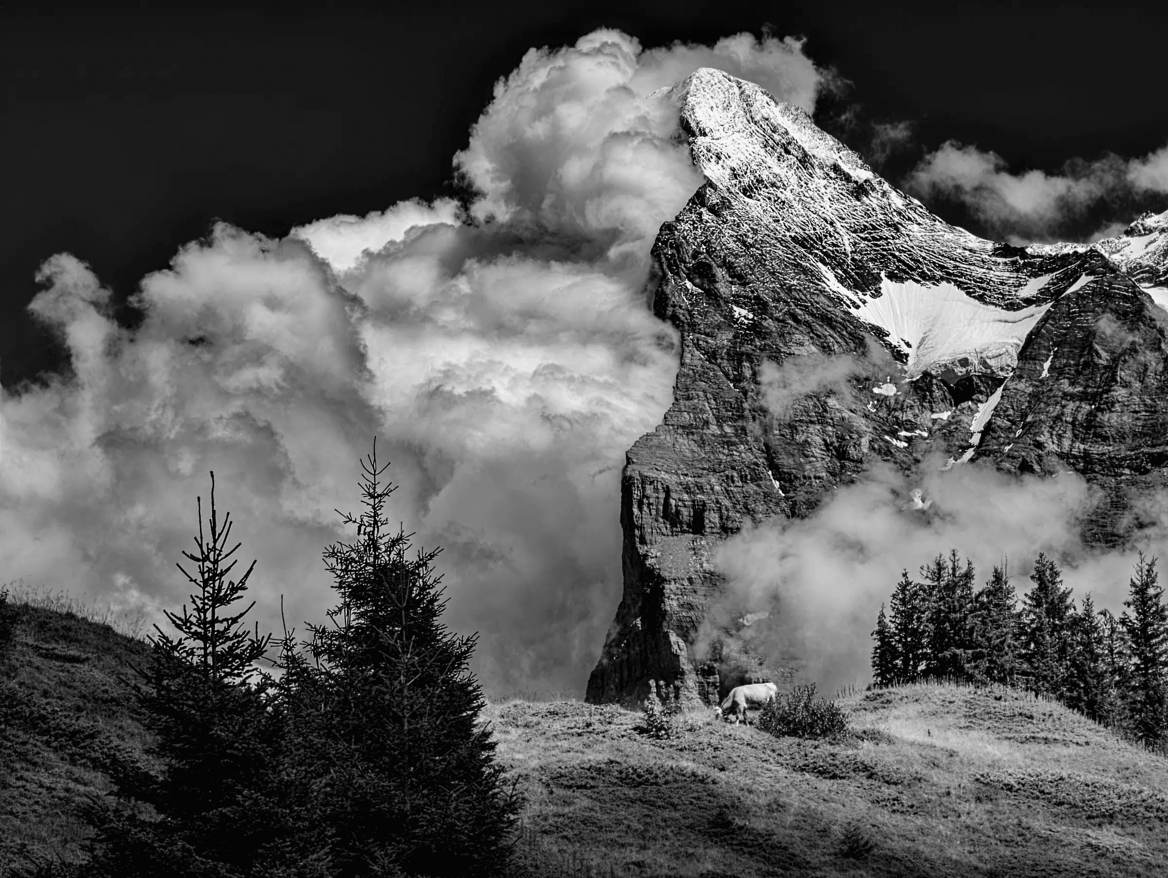 Eiger's Shadow: North Face in Cloud Veil Dramatic black and white landscape photograph of the Eiger mountain in the Swiss Alps.