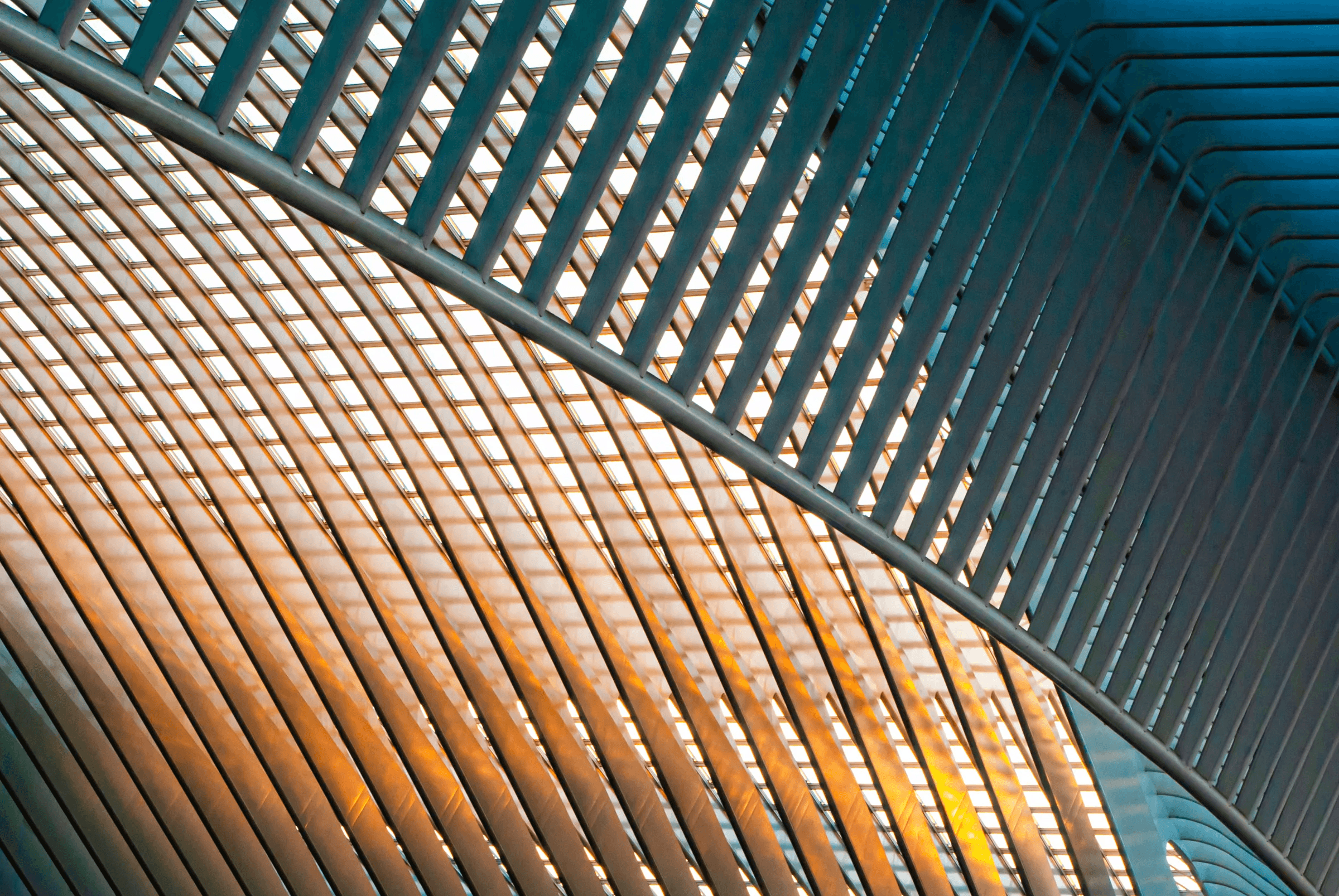 Calatrava's Canopy: Liège Station Calatrava s Canopy Liège Station as an abstract study in Liège-Guillemins Station.
