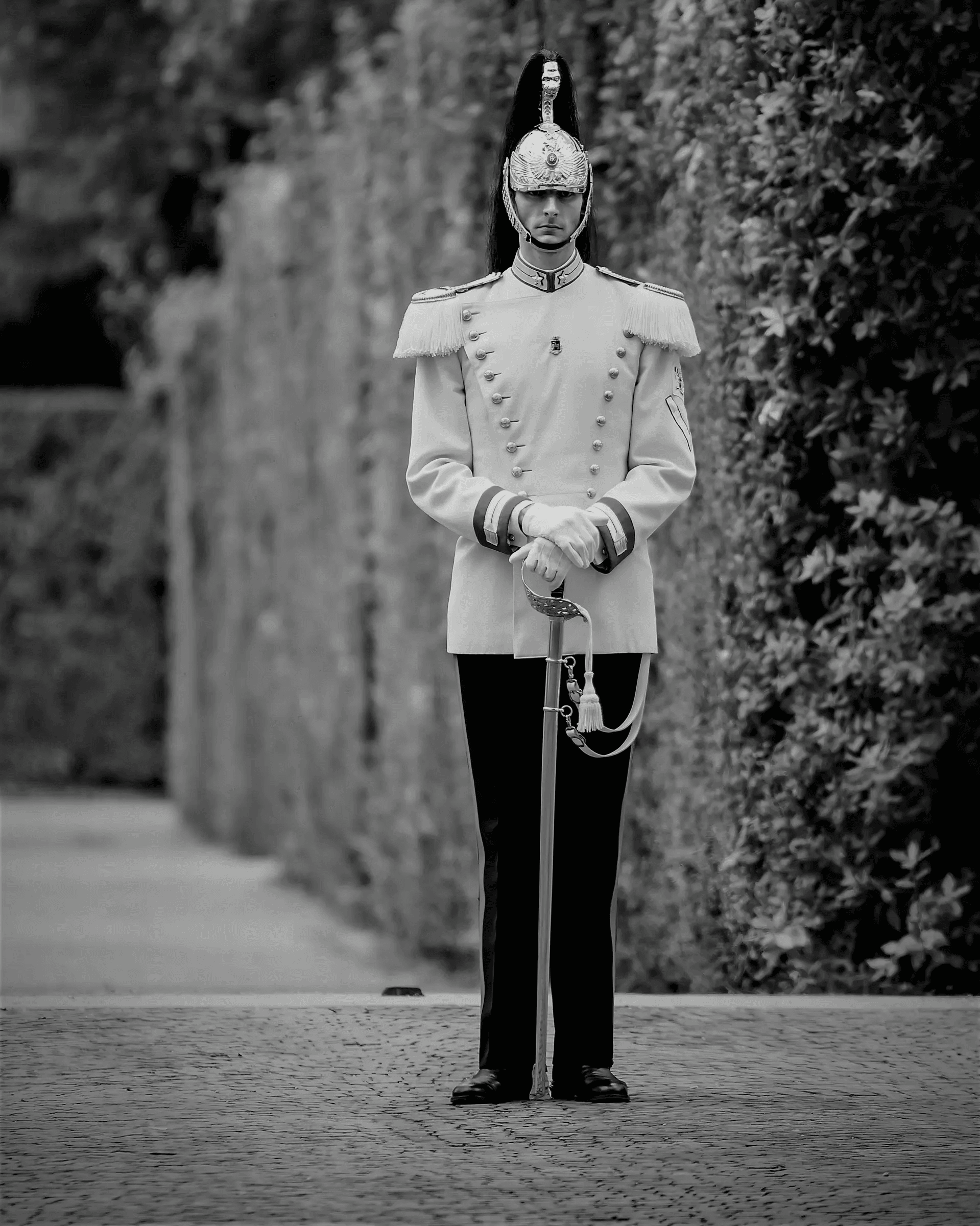 Black and white photograph of a Cuirassier standing at attention, guarding the Quirinal Palace in Rome, Italy.  He is in full uniform, including a helmet and sword. The background is a hedge and cobblestone pavement.