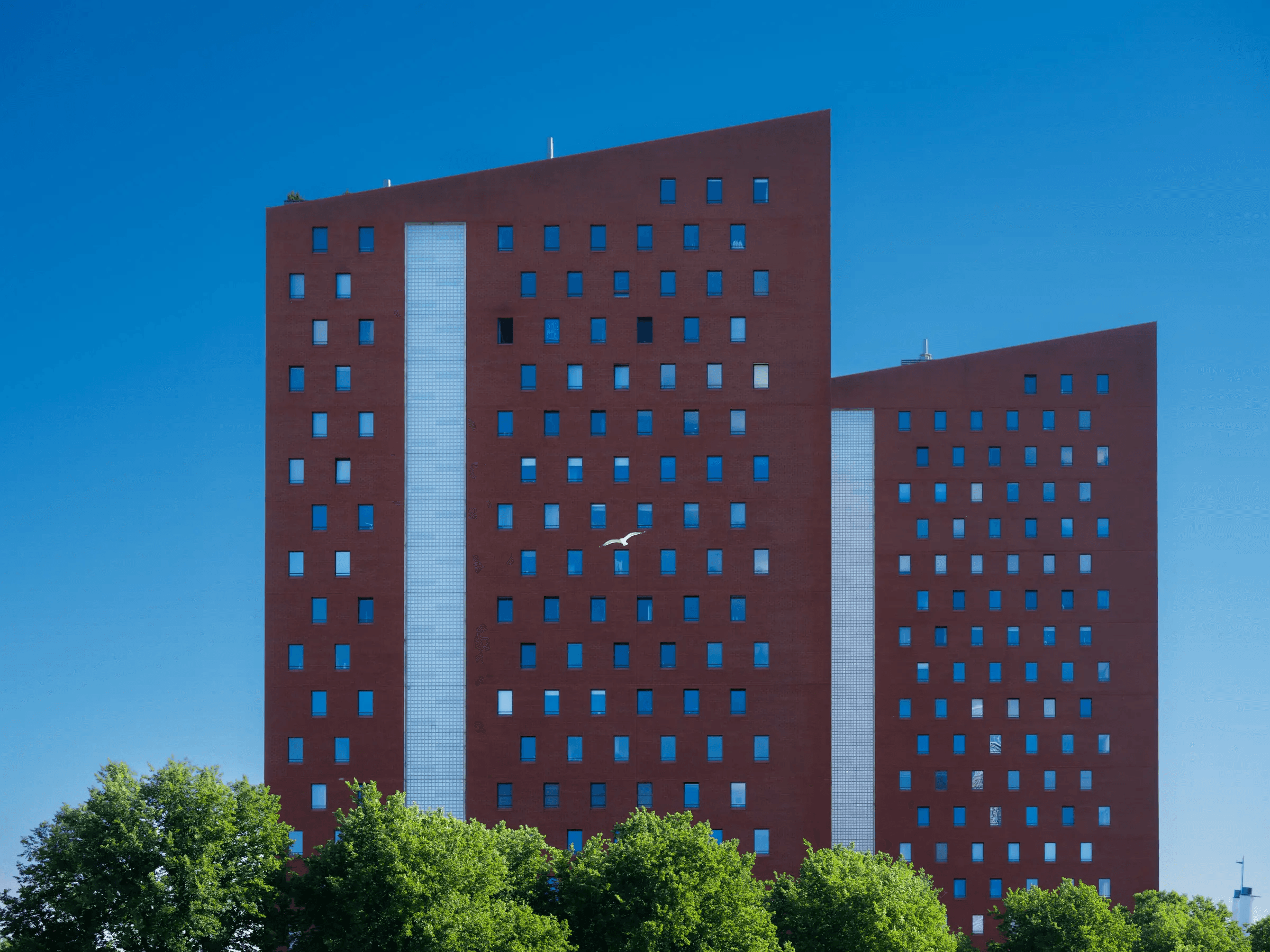 Red Giants of Katendrecht Two reddish-brown residential towers at the 2e Katendrechtse Haven in Rotterdam.