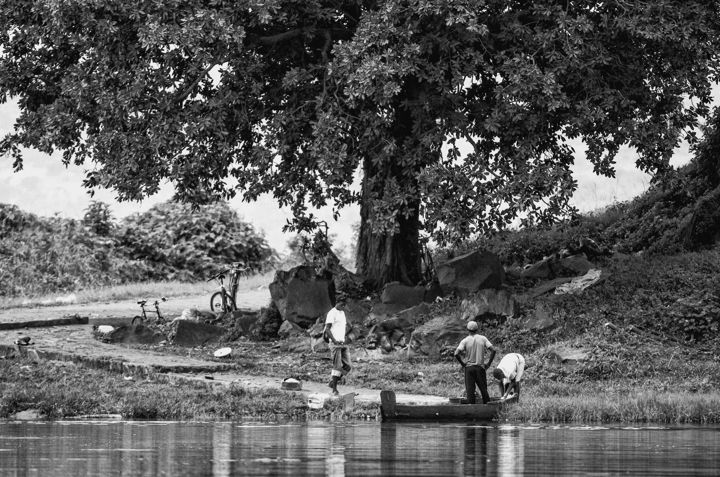 Black and white photograph showing several men working with a simple boat or canoe on a riverbank under a large tree.