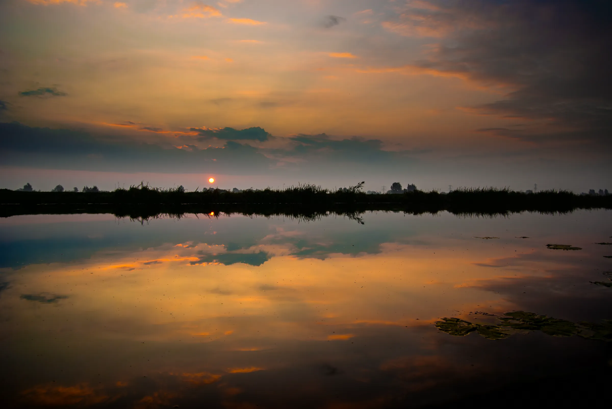 Vibrant sunset sky with orange and dark clouds reflected in calm water. A silhouette of reeds and distant trees lines the horizon.