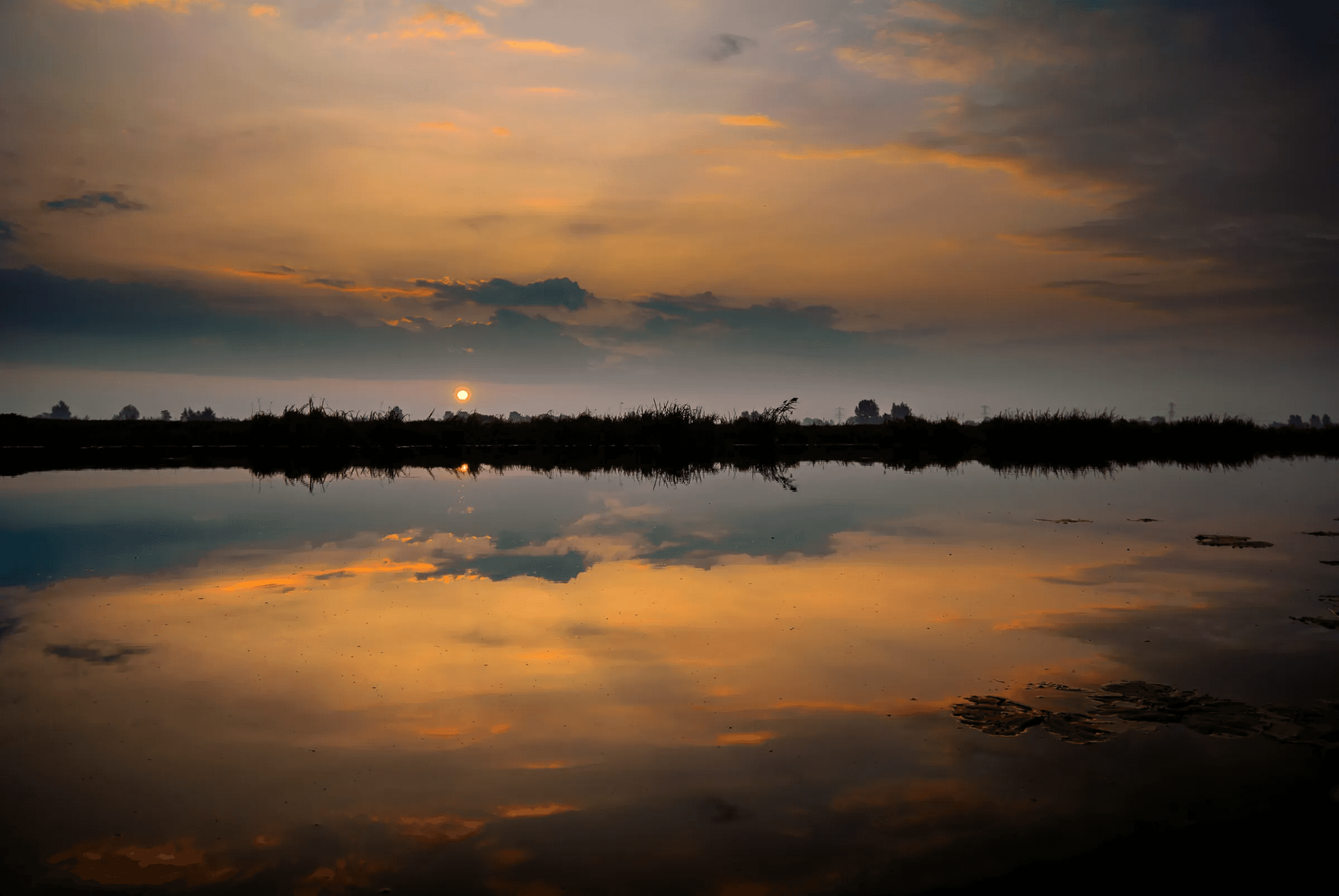 Vibrant sunset sky with orange and dark clouds reflected in calm water. A silhouette of reeds and distant trees lines the horizon.