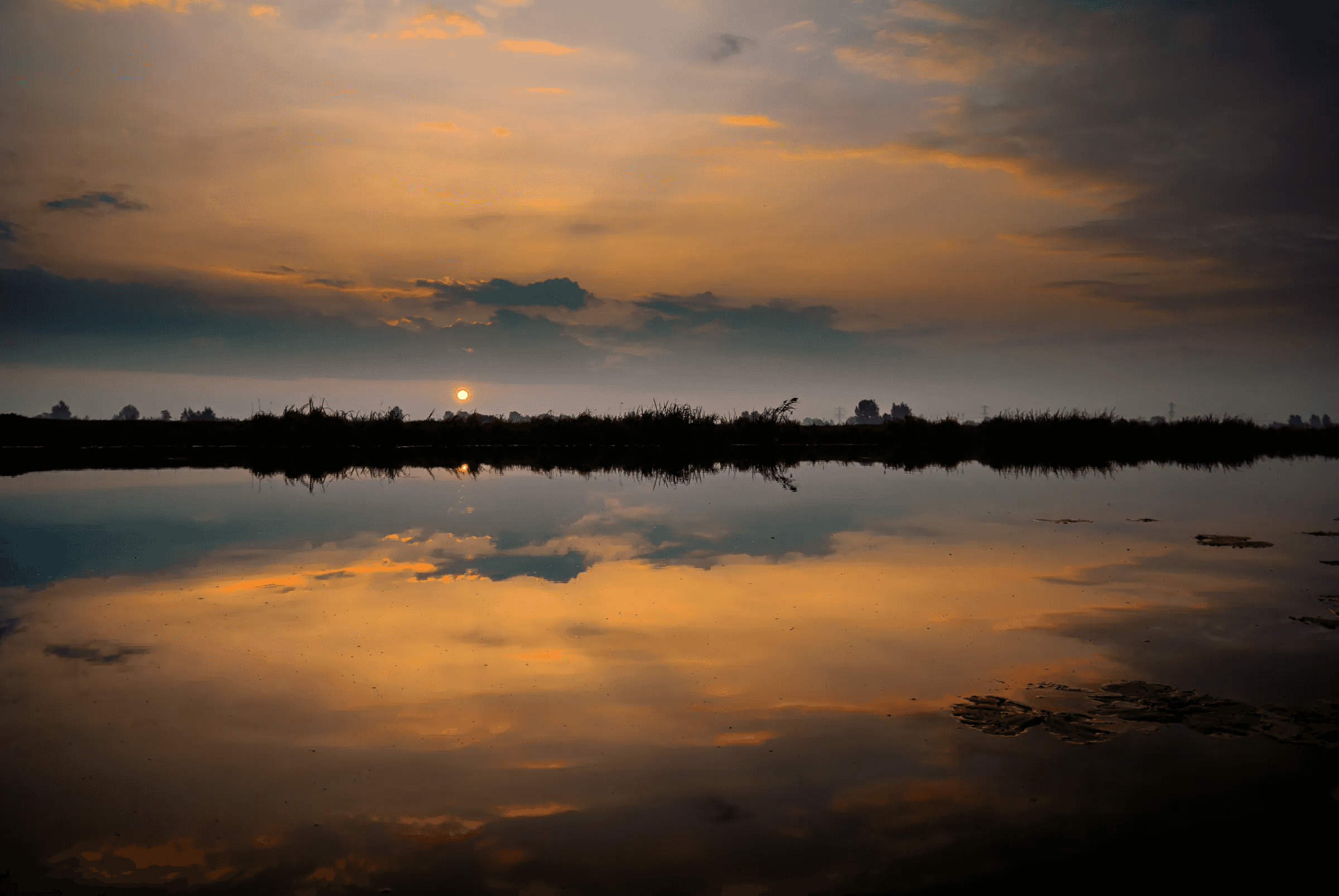 Vibrant sunset sky with orange and dark clouds reflected in calm water. A silhouette of reeds and distant trees lines the horizon.