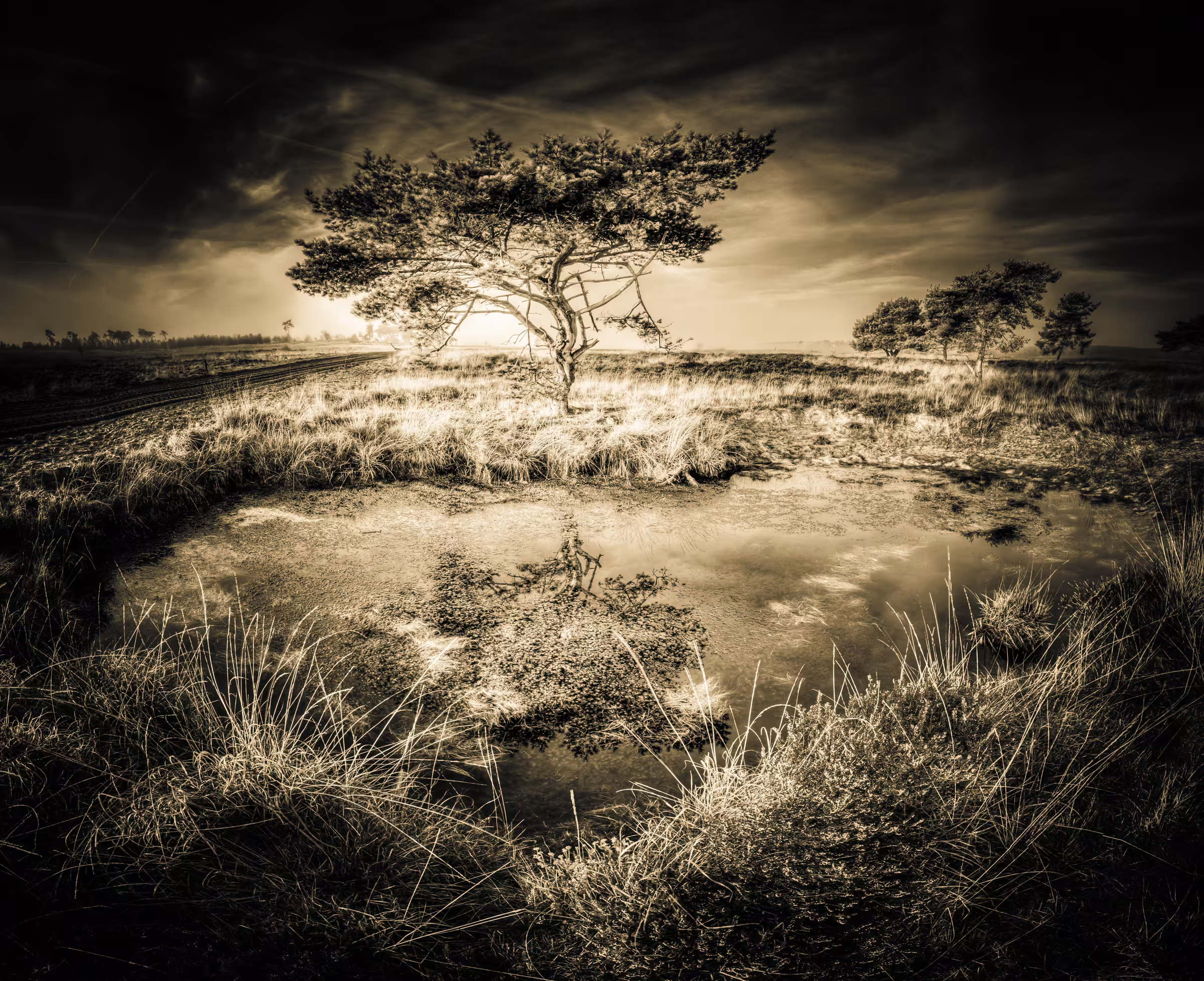 Monochrome landscape photograph featuring a solitary tree and its reflection in still water. The tree and its mirror image dominate the scene, set against a dramatic, cloudy sky rendered in shades of grey.